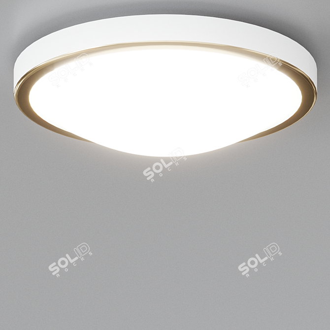 OSAKA Opal Glass Steel Ceiling Light 3D model image 4