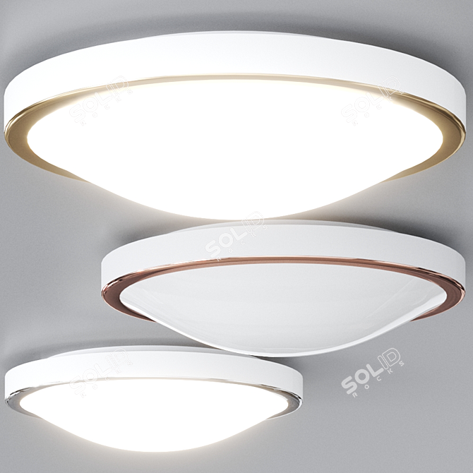 OSAKA Opal Glass Steel Ceiling Light 3D model image 7