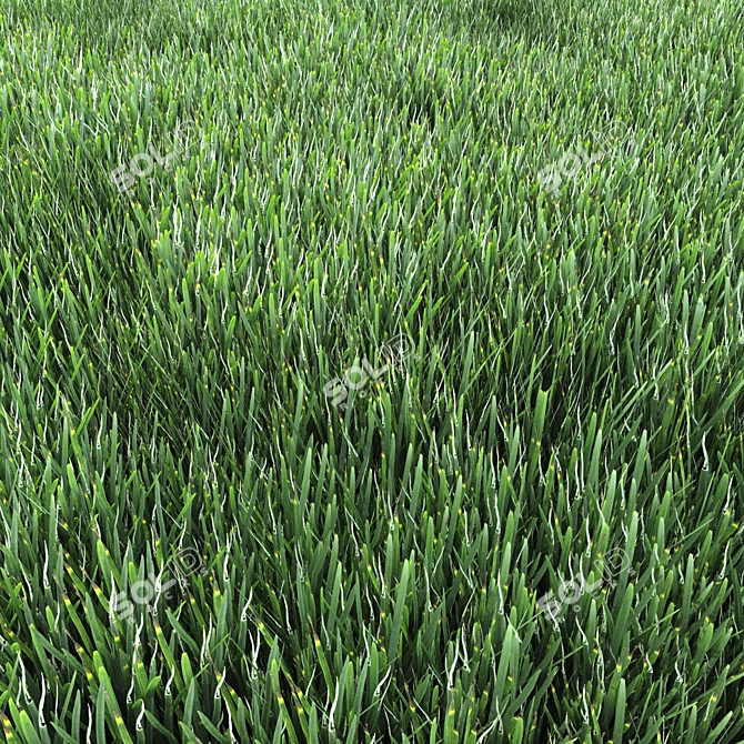 Lush Green Grass for Stunning Landscapes 3D model image 2