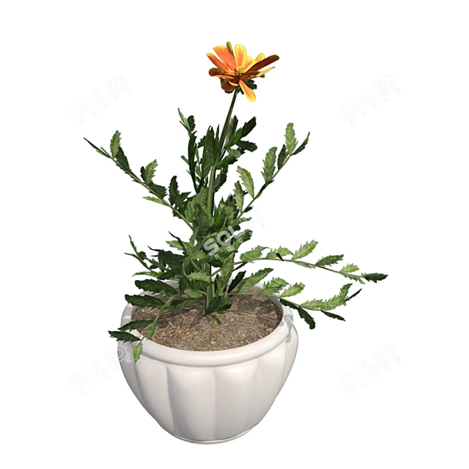 Marigold Bloom: Hand-painted Potted Beauty 3D model image 1