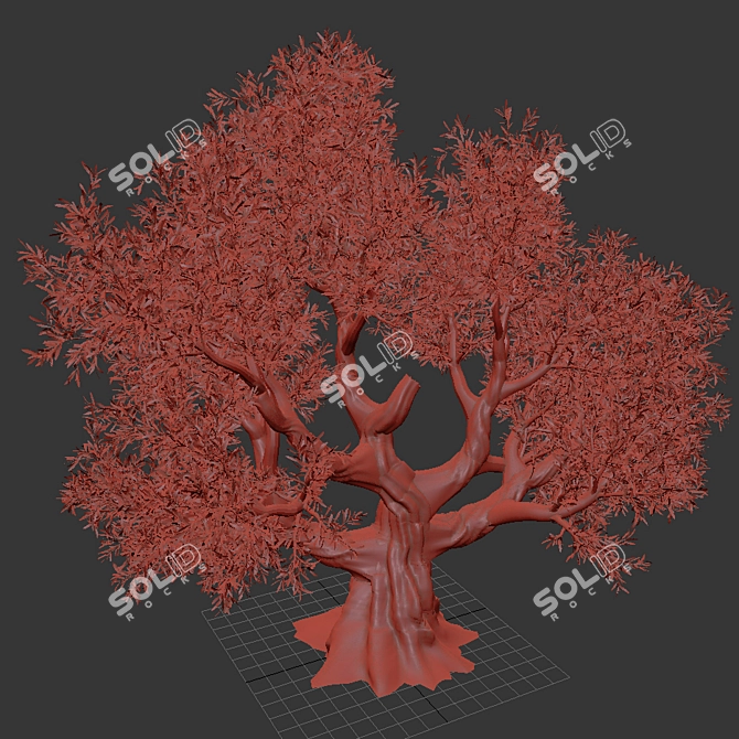  Majestic Olive Tree - Lifelike 3D Model 3D model image 5