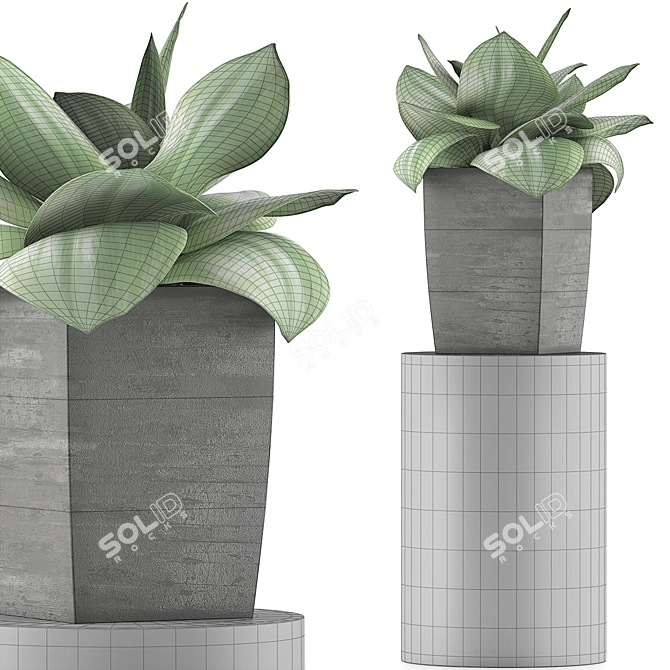 96 Agave Plant Collection: Clean Geometry, Perfect for Detail 3D model image 4