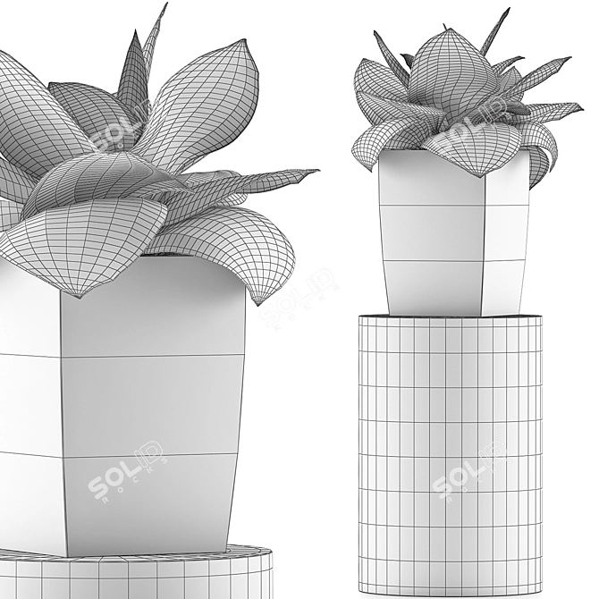 96 Agave Plant Collection: Clean Geometry, Perfect for Detail 3D model image 5