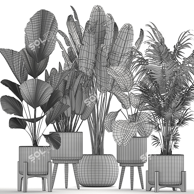 Tropical Plant Paradise: Indoor & Outdoor Plant Collection 3D model image 5