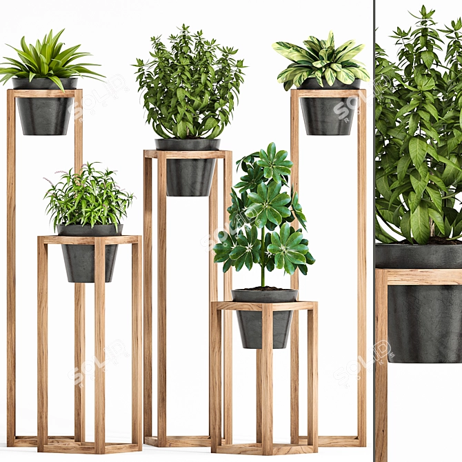 Green Haven Planter Set 3D model image 1