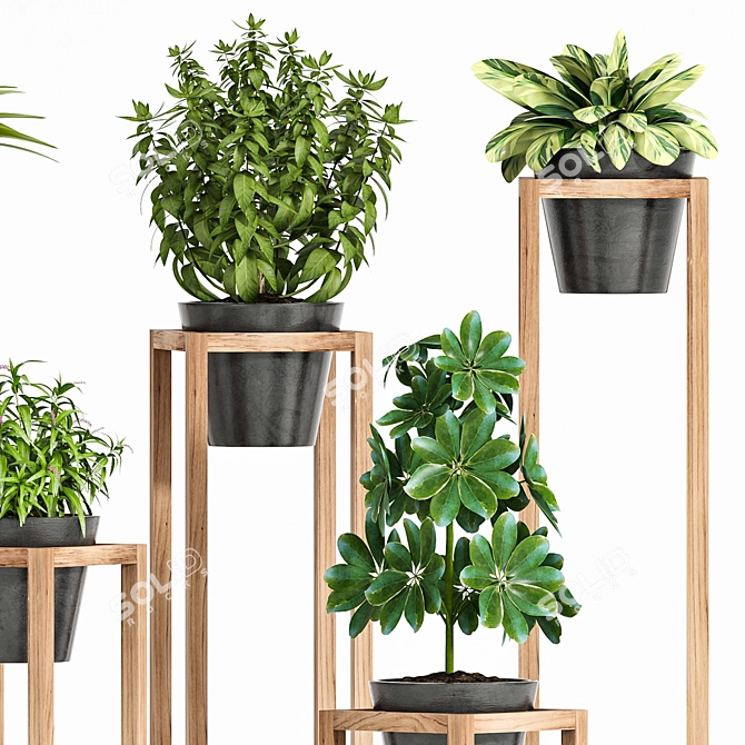 Green Haven Planter Set 3D model image 2