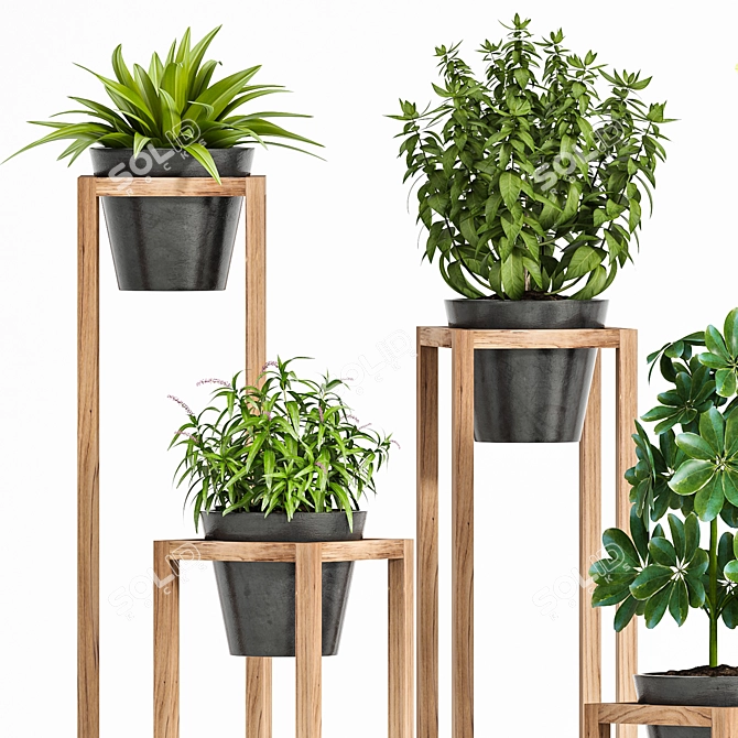 Green Haven Planter Set 3D model image 3