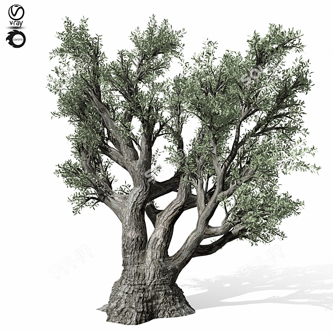  Majestic Olive Tree Sculpture 3D model image 2