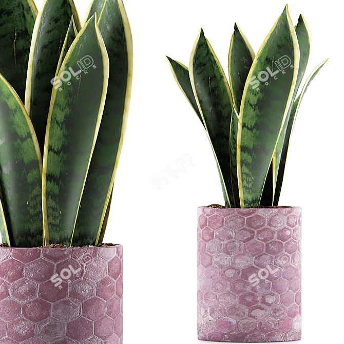 Geometry Collection: Sansevieria 98 3D model image 1