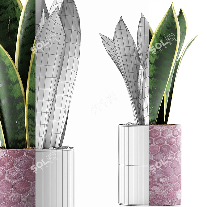 Geometry Collection: Sansevieria 98 3D model image 3