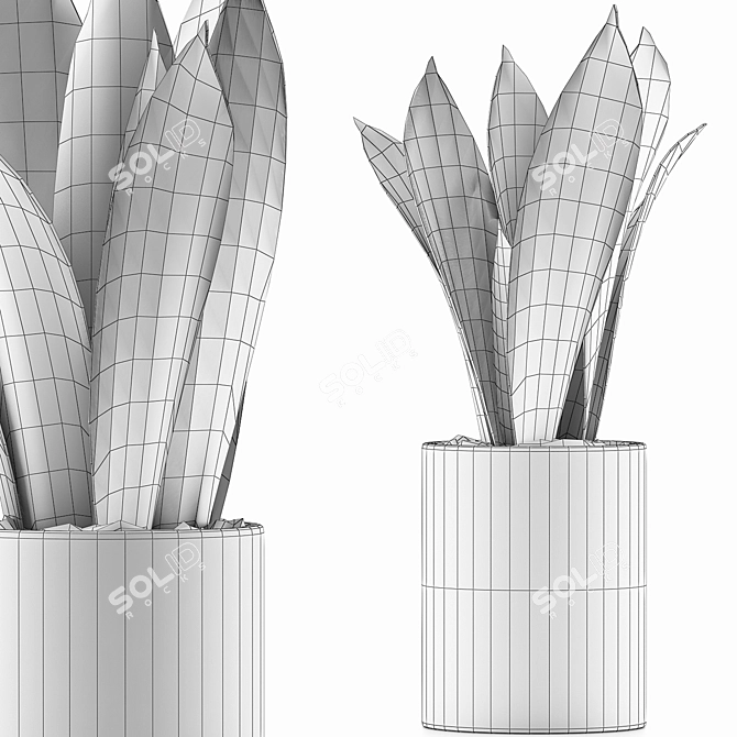 Geometry Collection: Sansevieria 98 3D model image 4