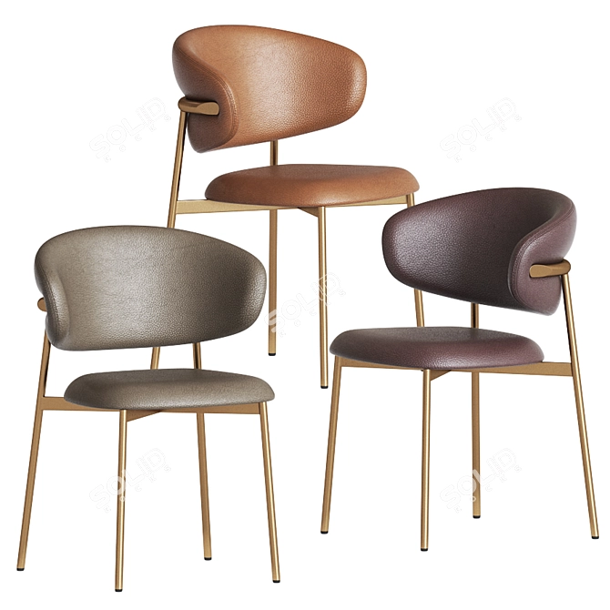 Elegant Leather Dining Chair 3D model image 1