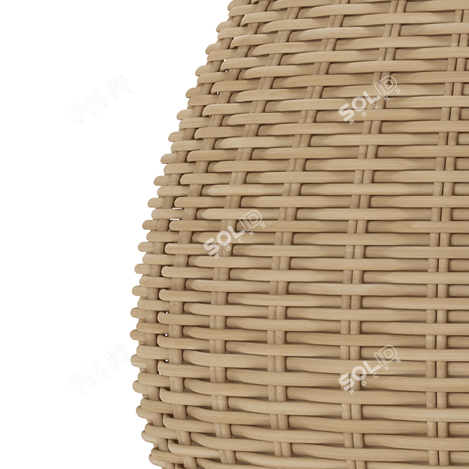 Handmade Wicker Pot: Stylish Home Decor 3D model image 7