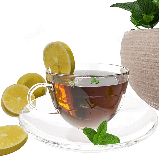 Mint Lemon Tea Decor Set 3D model image 2