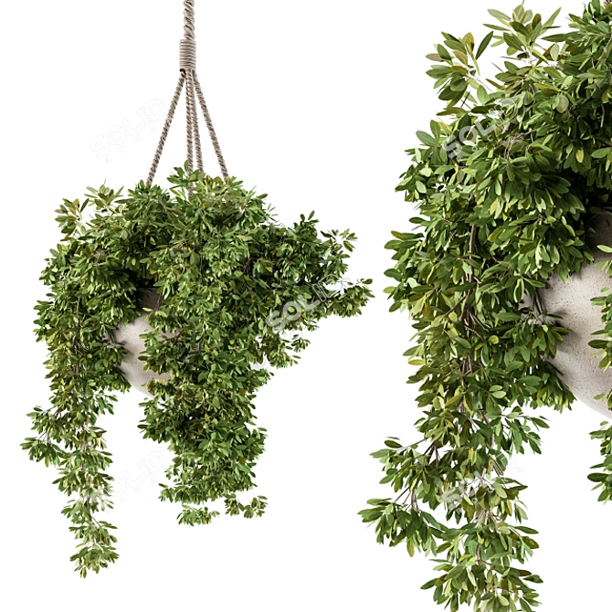 82-Piece Hanging Box Plant Set 3D model image 1