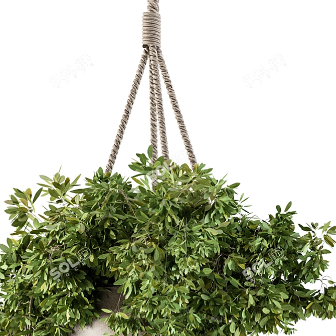 82-Piece Hanging Box Plant Set 3D model image 2