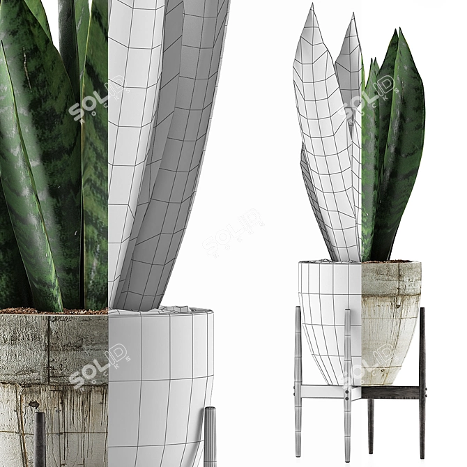 Sculpted Agave Collection: Clean Geometry for Stunning Detail 3D model image 3
