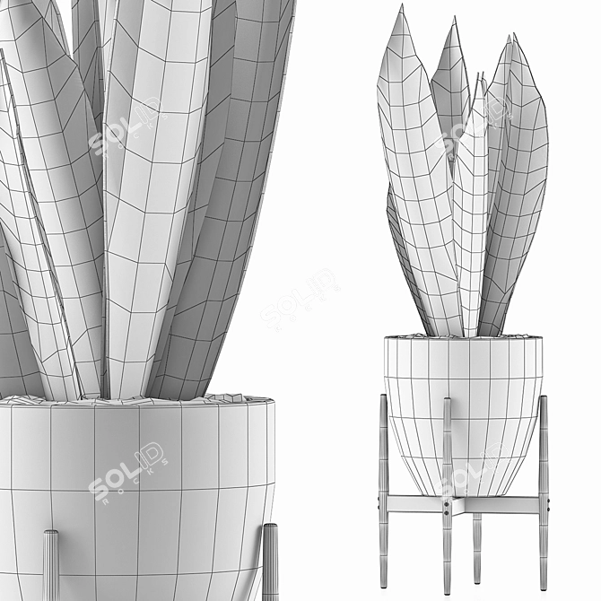 Sculpted Agave Collection: Clean Geometry for Stunning Detail 3D model image 4