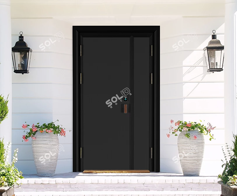 Exterior Doors: Secure and Stylish 3D model image 2