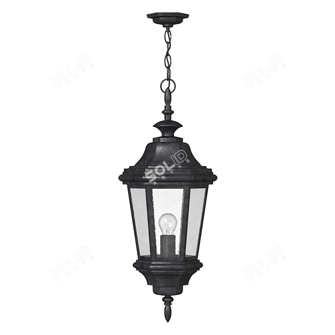 Modern Outdoor Pendant Light 3D model image 1