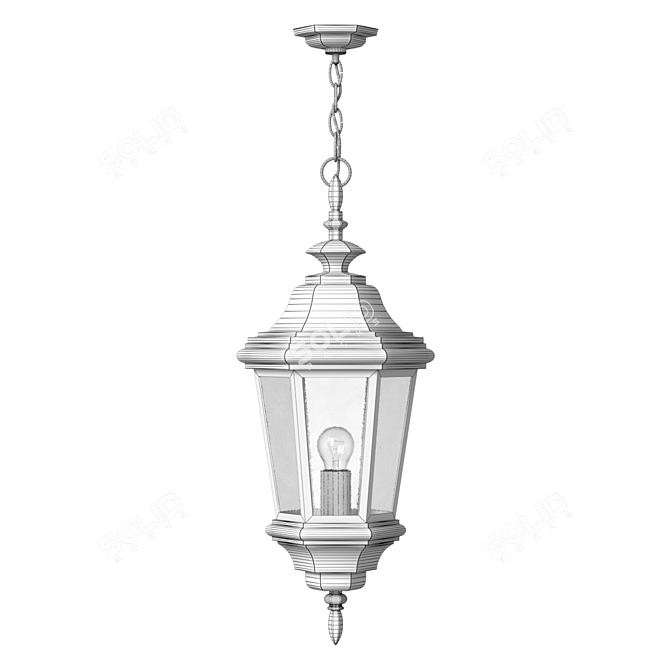 Modern Outdoor Pendant Light 3D model image 3