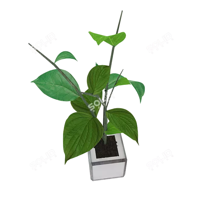 Metal-Glass Pot Plant 3D model image 1