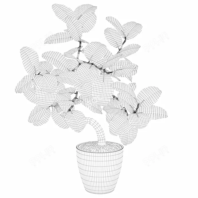 Exquisite Ficus Benghalensis: 3D Plant Collection 3D model image 3
