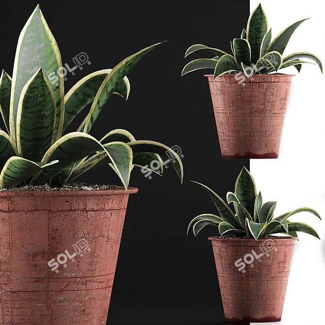 Modern Agave Plant in Orange Concrete Pot 3D model image 2