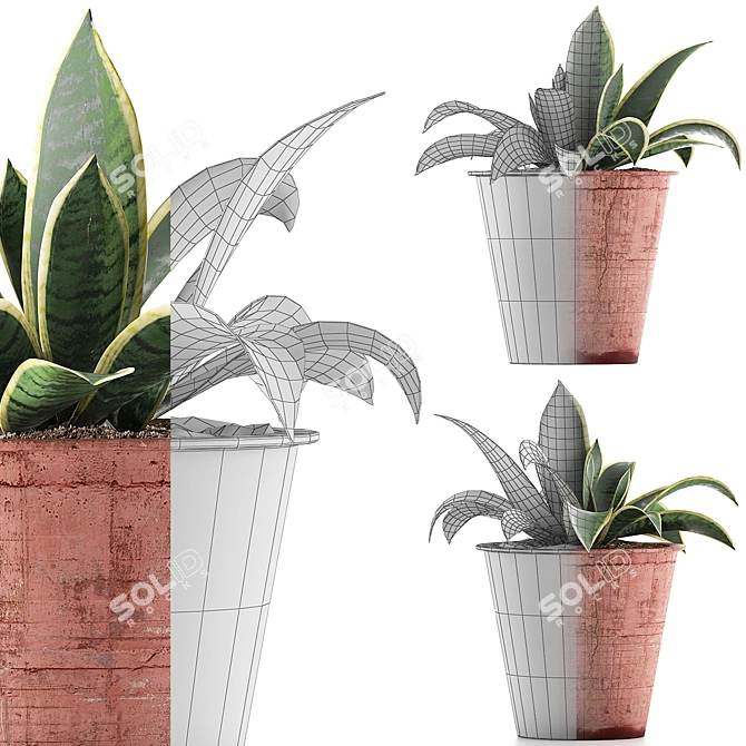 Modern Agave Plant in Orange Concrete Pot 3D model image 3