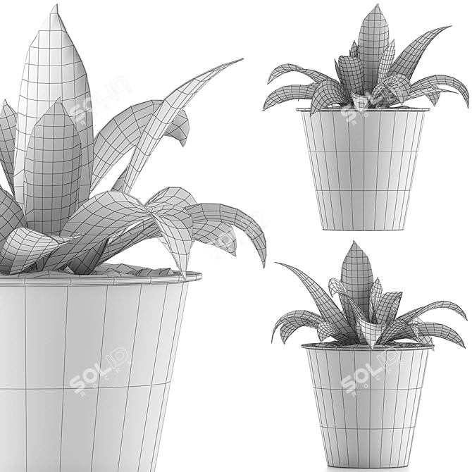 Modern Agave Plant in Orange Concrete Pot 3D model image 4