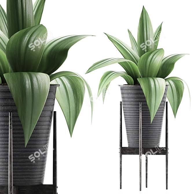 Agave Metal Pot Plant Collection 3D model image 1