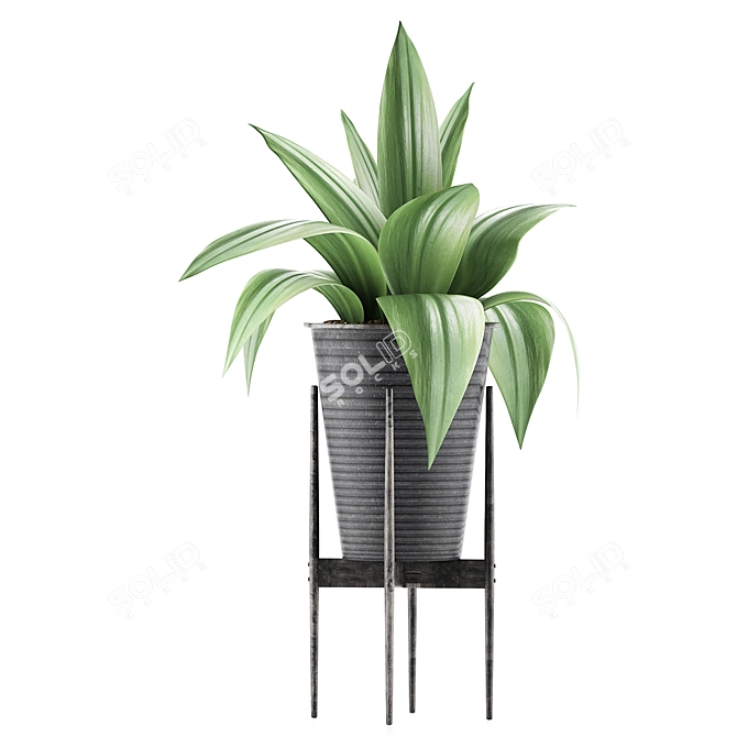 Agave Metal Pot Plant Collection 3D model image 2