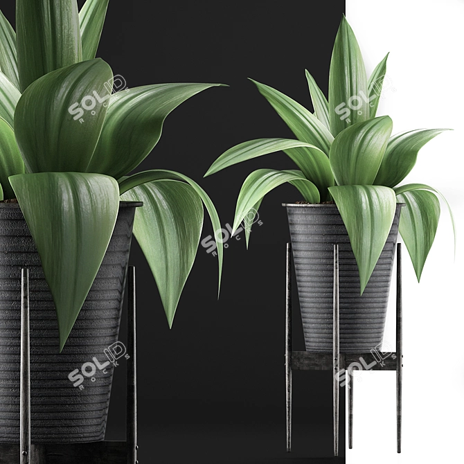 Agave Metal Pot Plant Collection 3D model image 5