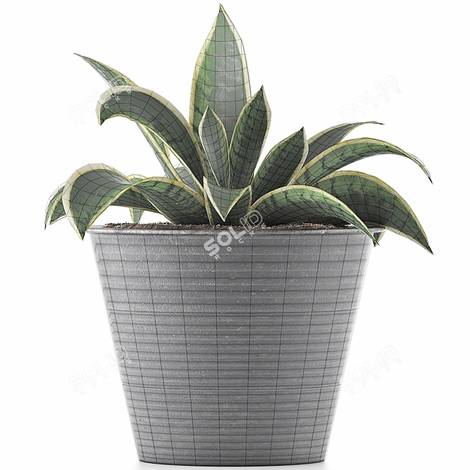 108 Agave Plant Collection: Ornamental & Durable 3D model image 3