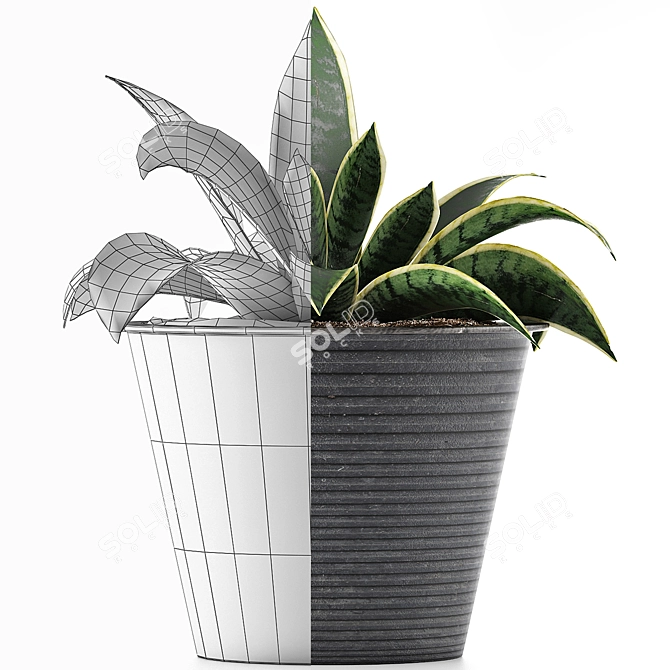 108 Agave Plant Collection: Ornamental & Durable 3D model image 4