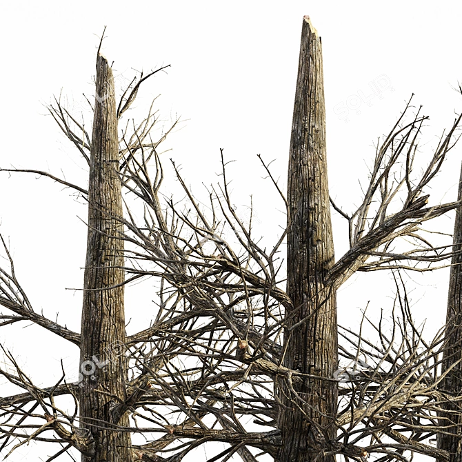 Blazing Forest: 5 Charred Trees 3D model image 3