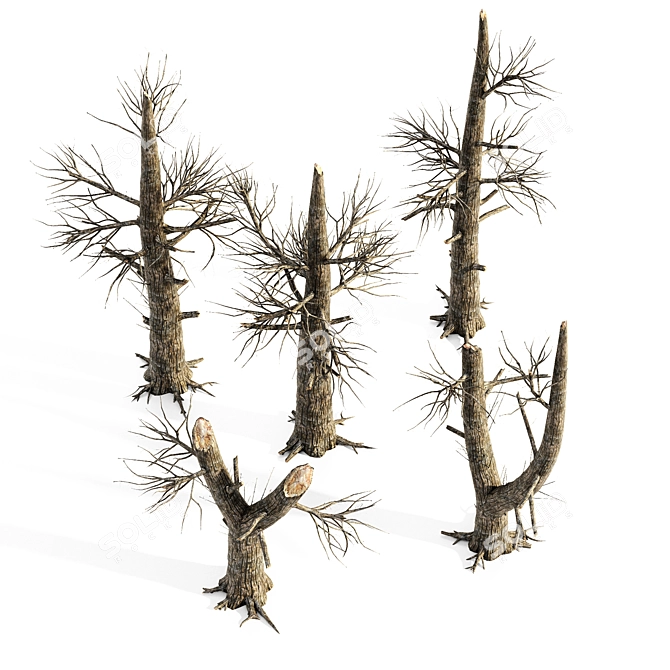 Blazing Forest: 5 Charred Trees 3D model image 4