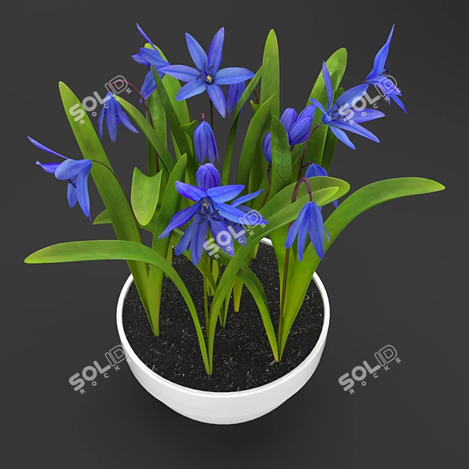 Forest Blooms Potted in Proleski 3D model image 2