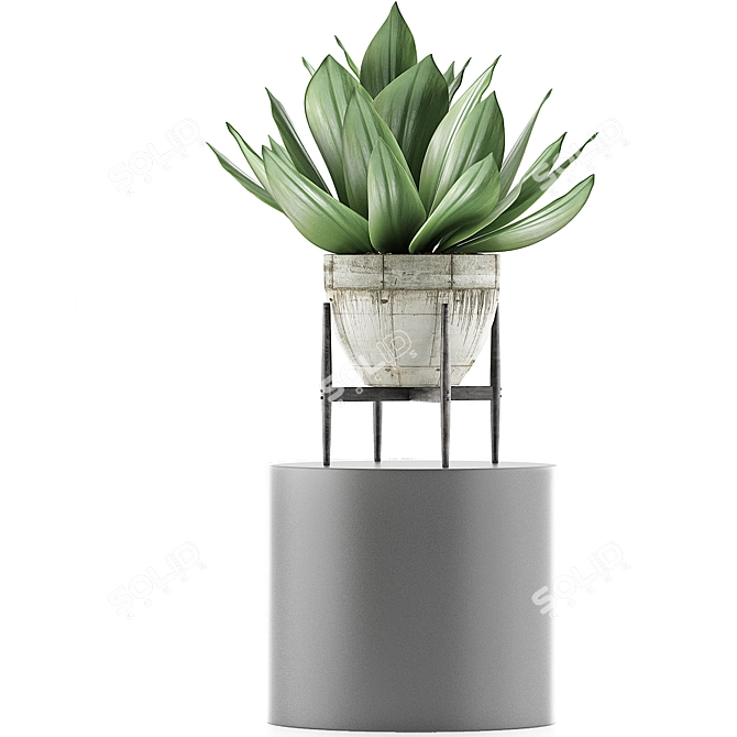 Concrete Planter Agave: Outdoor Plant Collection 3D model image 2