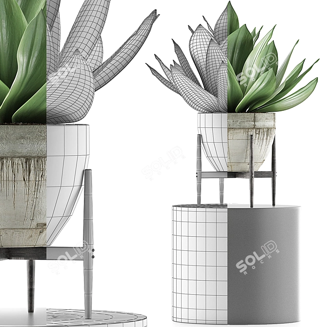 Concrete Planter Agave: Outdoor Plant Collection 3D model image 4