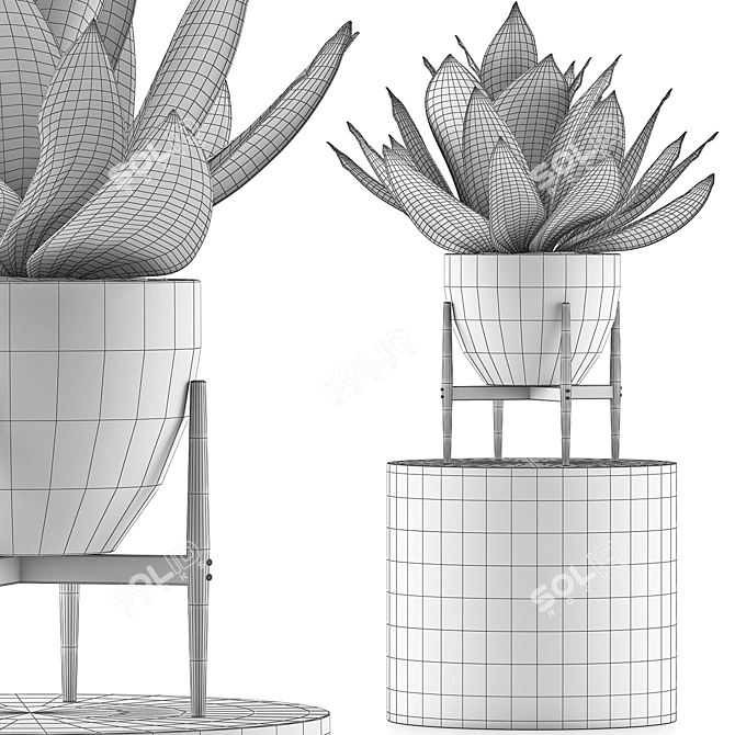 Concrete Planter Agave: Outdoor Plant Collection 3D model image 5