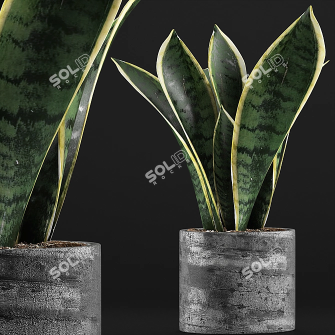 Modern Geometric Plant Collection 3D model image 3