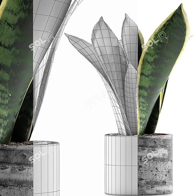 Modern Geometric Plant Collection 3D model image 4