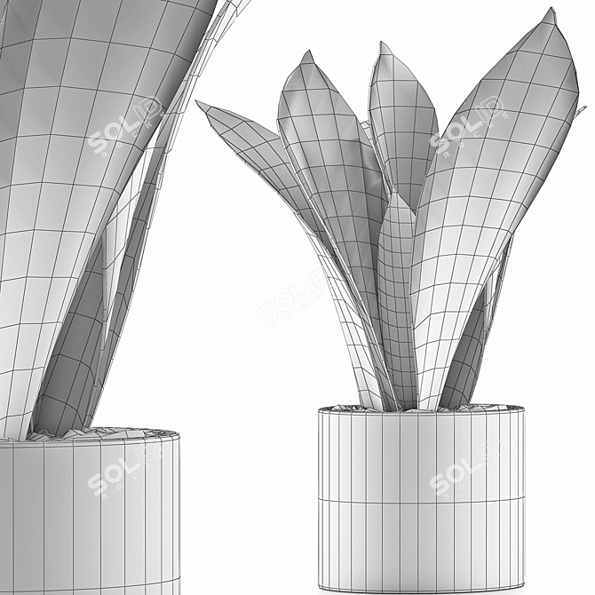 Modern Geometric Plant Collection 3D model image 5