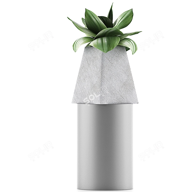 Sleek Agave Plant Collection 3D model image 2