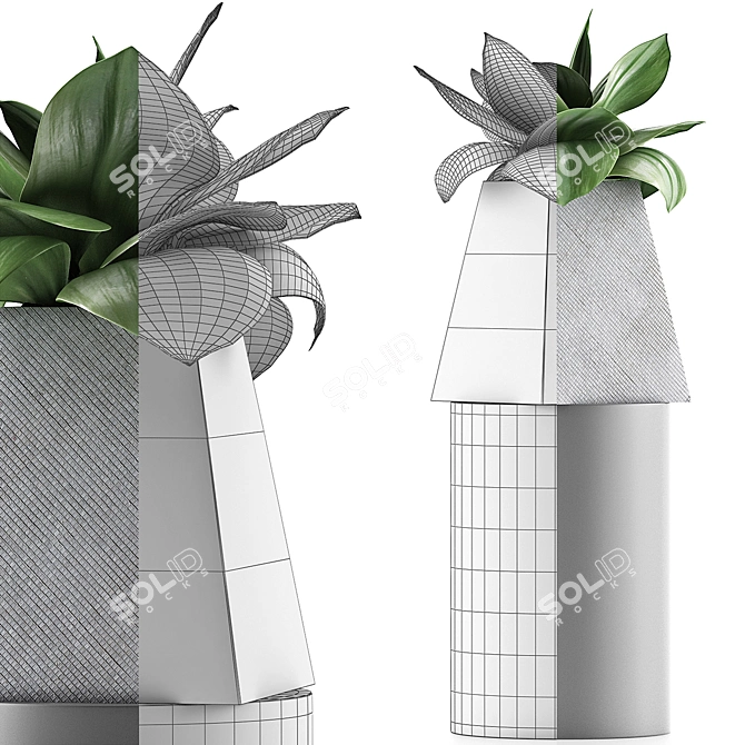 Sleek Agave Plant Collection 3D model image 4