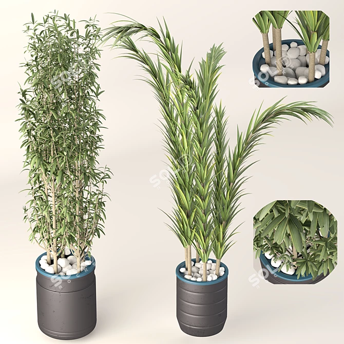 Decorative Plant Duo: Interior Bliss 3D model image 1
