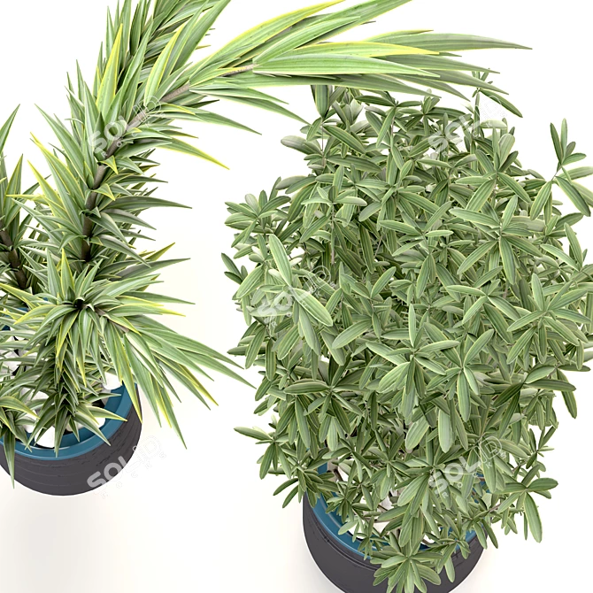 Decorative Plant Duo: Interior Bliss 3D model image 2