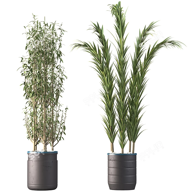 Decorative Plant Duo: Interior Bliss 3D model image 4