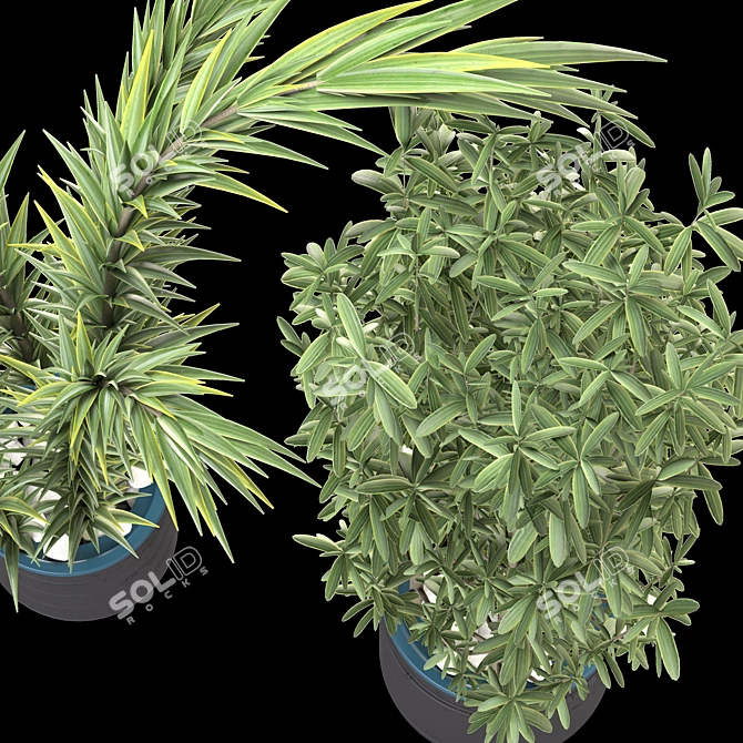 Decorative Plant Duo: Interior Bliss 3D model image 6